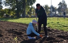 Posadziliśmy las kieszonkowy 