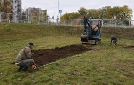 Zazielenienia Płońska ciąg dalszy