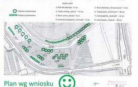 Zazielenienia Płońska ciąg dalszy