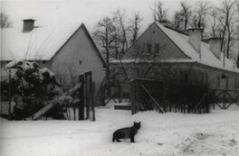 Archiwalne zdjęcia zimy w Płońsku