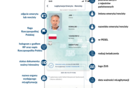 Jak wygląda mLegitymacja