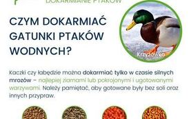 Odpowiedzialne dokramianie ptak&oacute;w