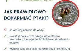 Odpowiedzialne dokramianie ptak&oacute;w