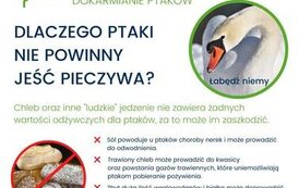 Odpowiedzialne dokramianie ptak&oacute;w