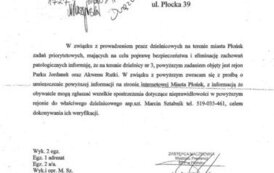 Działania priorytetowe 