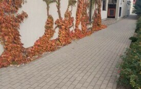 Galeria aktualności Jesienne barwy Płońska 3431 4