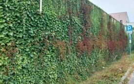 Galeria aktualności Jesienne barwy Płońska 3431 7