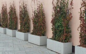 Galeria aktualności Jesienne barwy Płońska 3431 9
