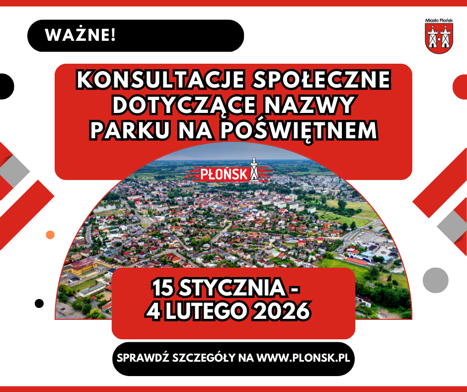 konsultacje_grafika_pozioma_na_www(3)