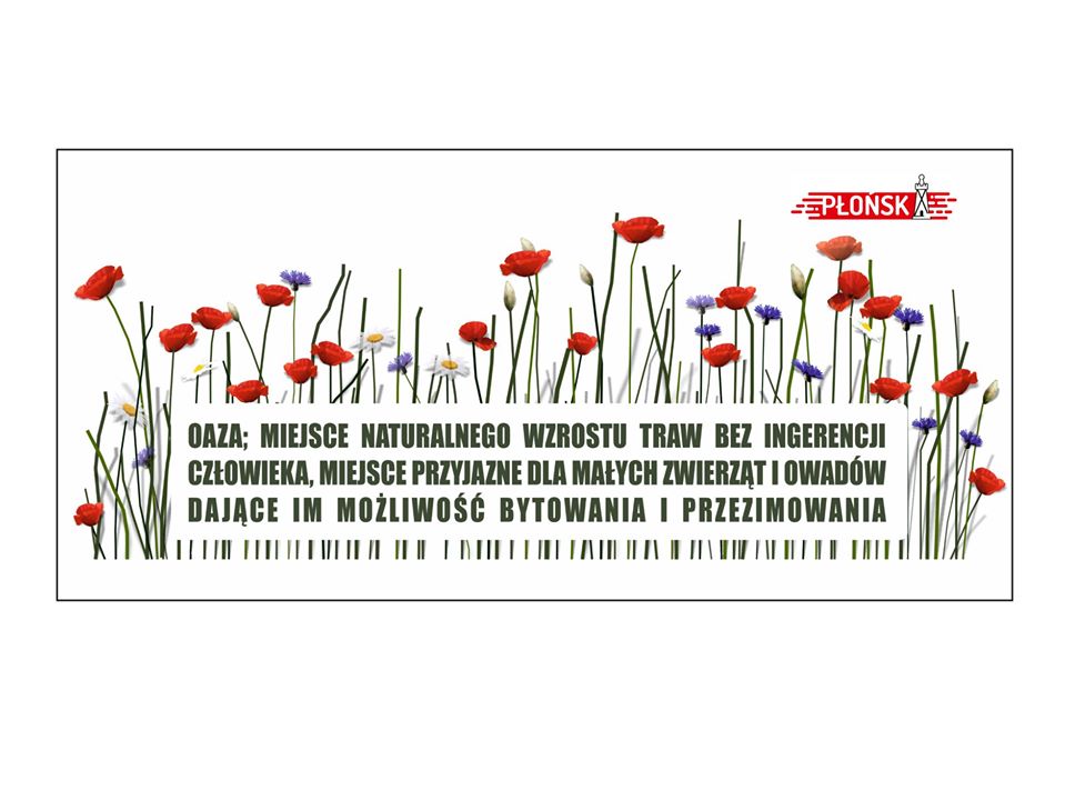 miejsce naturalnego wzrostu traw