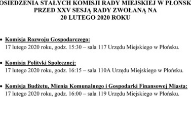 Zdjęcie do Posiedzenia Stałych Komisji Rady Miejskiej w Płońsku przed XXV sesją rady zwołaną na 20 lutego 2020 r.