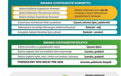 Zdjęcie do Statystyczne badania ankietowe 2020