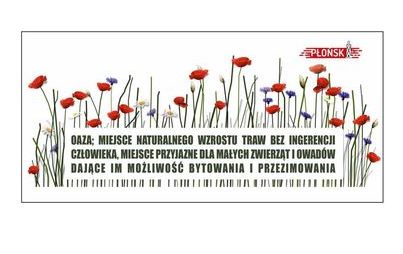 Zdjęcie do Nowe miejsca naturalnego wzrostu traw