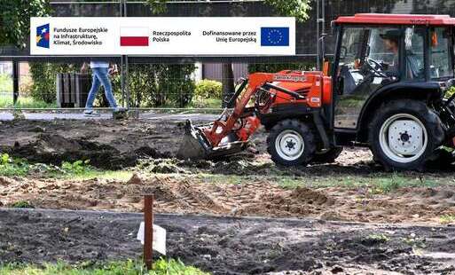 Zdjęcie do Zielone serce Płońska rozkwita.