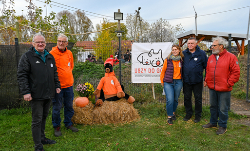 Zdjęcie do Dzień Kundelka w Psiechowalni Stowarzyszenia "Uszy do G&oacute;ry"