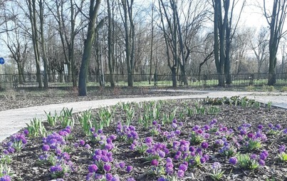 Zdjęcie do Światowy Dzień Ziemi