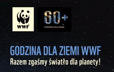 Zdjęcie do Godzina dla Ziemi WWF