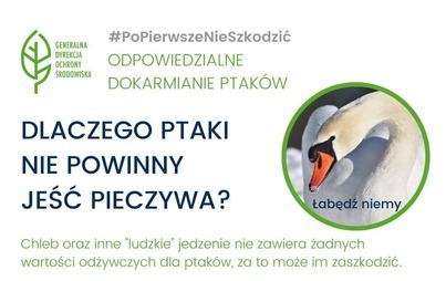 Zdjęcie do Odpowiedzialne dokramianie ptak&oacute;w 