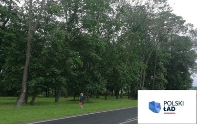 Zdjęcie do 931 833,00 zł na rewaloryzację zabytkowego parku w Poświętnem