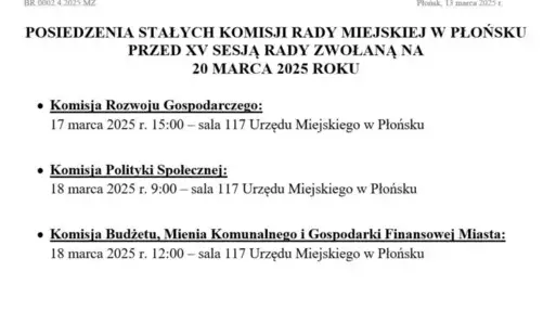 Zdjęcie do POSIEDZENIA STAŁYCH KOMISJI RADY MIEJSKIEJ W PŁOŃSKU PRZED XV SESJĄ RADY ZWOŁANĄ NA 20 MARCA 2025 ROKU