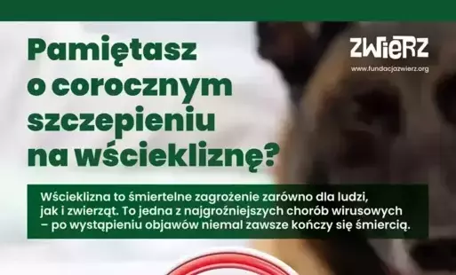 Zdjęcie do Wścieklizna - śmiertelne zagrożenie dla ludzi i zwierząt