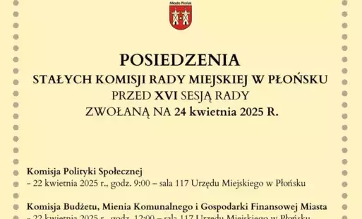 Zdjęcie do POSIEDZENIA STAŁYCH KOMISJI RADY MIEJSKIEJ W PŁOŃSKU PRZED XVI SESJĄ RADY MIEJSKIEJ