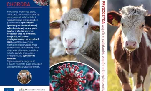 Zdjęcie do INFORMACJA GŁ&Oacute;WNEGO LEKARZA WETERYNARII