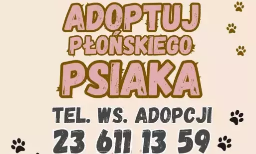 Zdjęcie do Dzień Praw Zwierząt