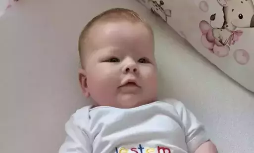 Zdjęcie do Body od Burmistrza