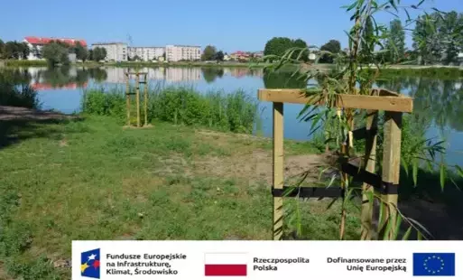 Zdjęcie do Dofinansowanie na wniosek "Dostosowanie zielono-niebieskiej infrastruktury w Płońsku do zmian klimatu"