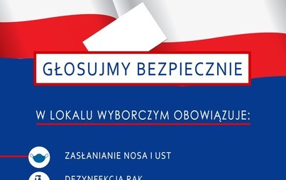 Zdjęcie do Głosujmy bezpiecznie
