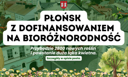 Zdjęcie do Ponad 1 000 000 zł dla Miasta Płońsk - przybędzie 2 800 nowych roślin, powstanie nowa łąka kwietna&nbsp;