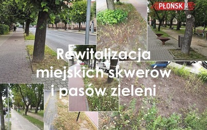 Zdjęcie do Nowe środki na rewitalizację miejskich skwer&oacute;w i pas&oacute;w zieleni w Płońsku