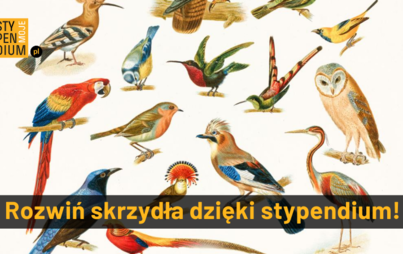 Zdjęcie do Rozwiń skrzydła z Moim Stypendium!