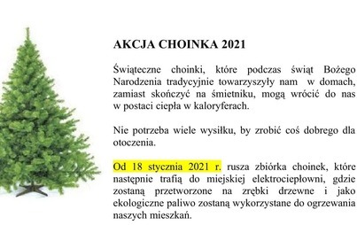 Zdjęcie do AKCJA CHOINKA 2021