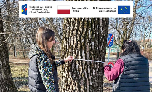 Zdjęcie do Nowoczesna diagnostyka drzew nad akwenem