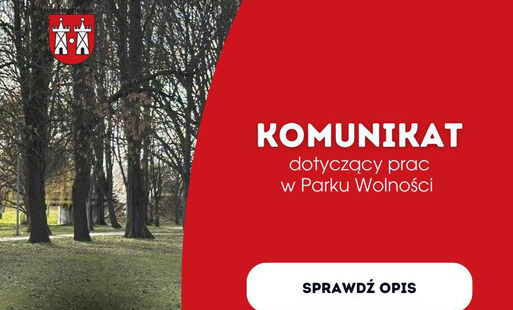 Zdjęcie do Prace związane z demontażem oświetlenia w parku Wolności