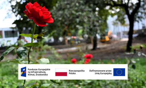 Zdjęcie do Rewitalizacja Parku Konstytucji 3 Maja