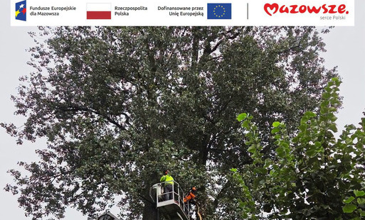 Zdjęcie do Zielone przestrzenie Płońska zyskują nowe oblicze